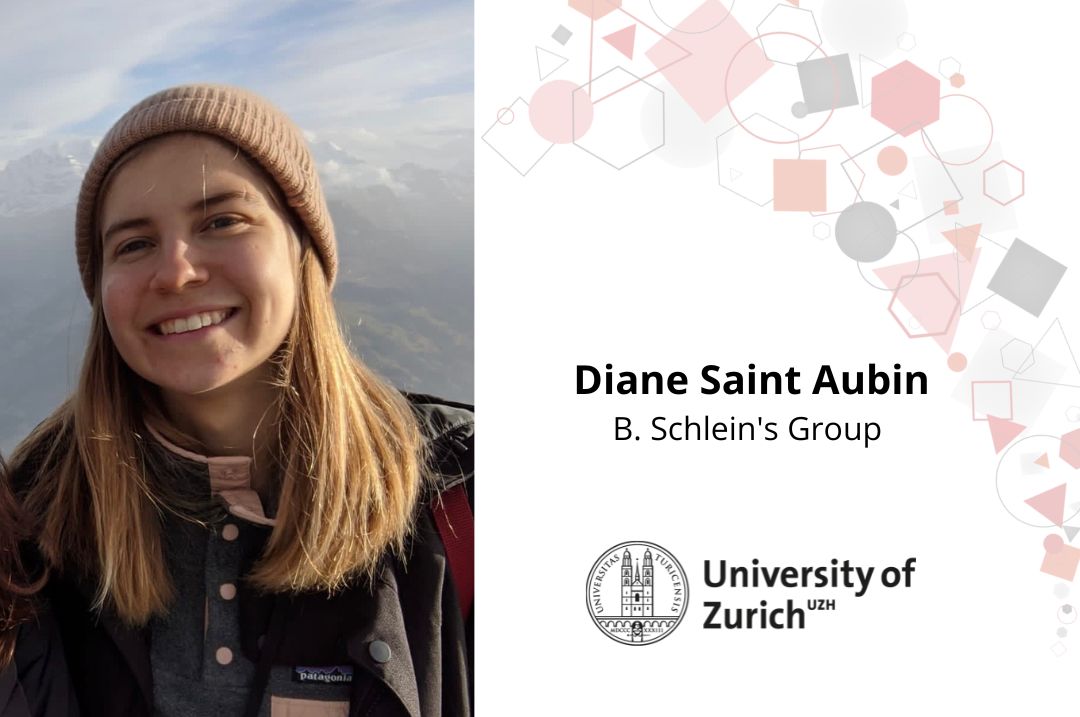 New member: Diane Saint Aubin (UZH, B. Schlein's Group)