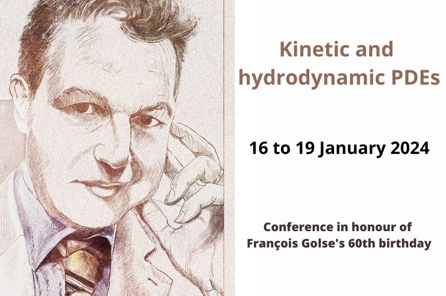 Kinetic and hydrodynamic PDEs (ETH Zurich, January 16-19)