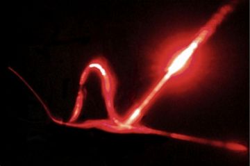 Newly launched Swiss Quantum Initiative