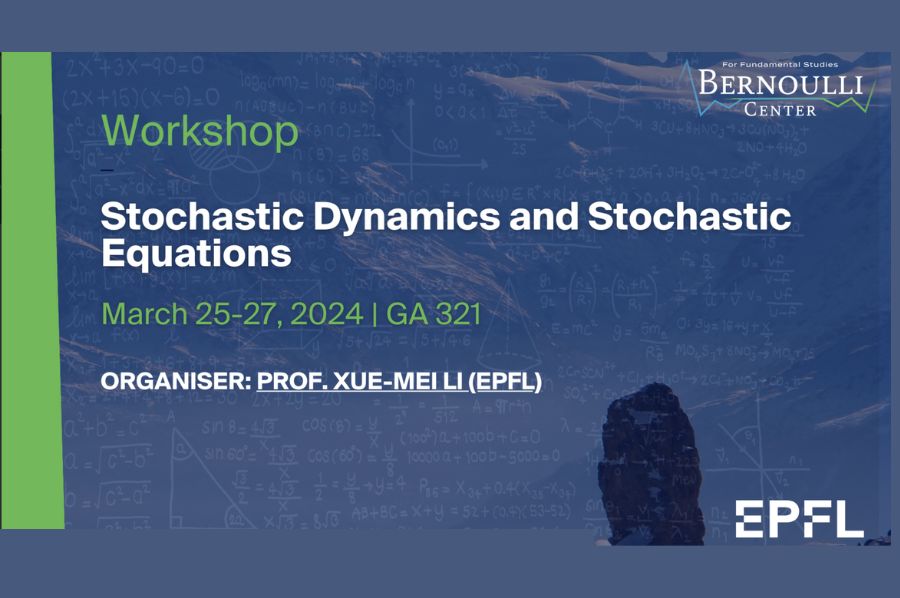 Stochastic Dynamics and Stochastic Equations  (Bernoulli Center 25-27 March)