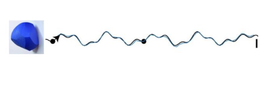 trajectoid2.jpg